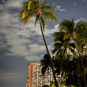 Meet your Posher, Anne